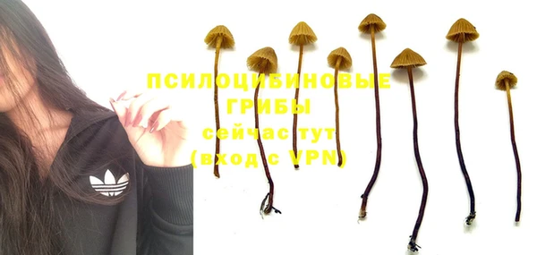 индика Краснослободск