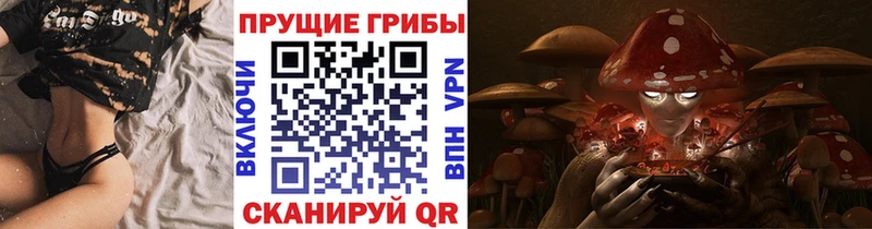 Псилоцибиновые грибы Psilocybe  Сосенский 